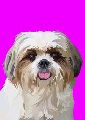 Shih tzu dog in vector