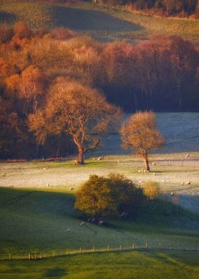 Irish countryside