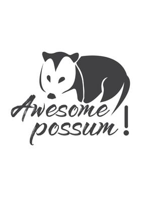 Awesome Possum