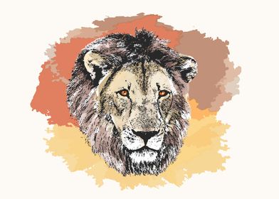 Lion Male Color Wash Style