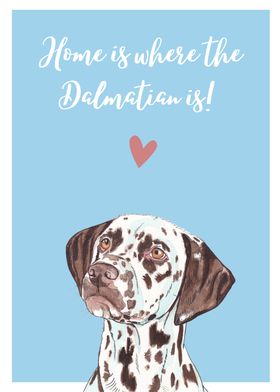 Dalmatian love at home