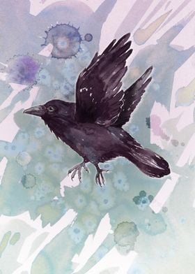 Flying raven