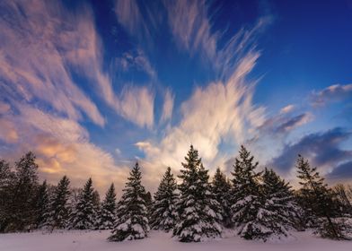 Wispy and Wintery