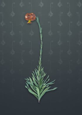 Scarlet Martagon Lily