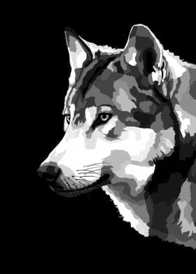 Wolf Black and white