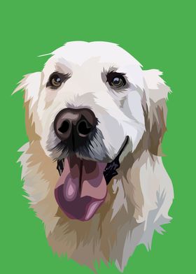 Golden retriever in vector