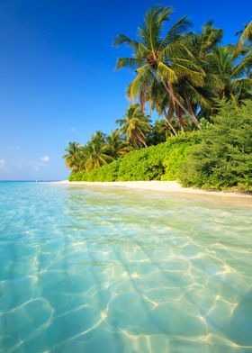 Tropical beach Maldives