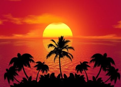 Sunset Beach Palm Tree