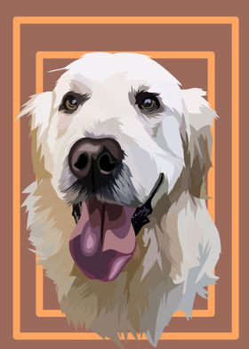 Golden retriever in vector