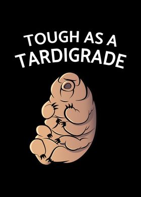 Touch As A Tardigrade