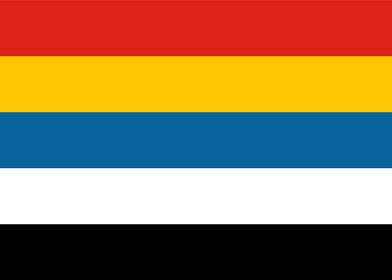 china old flag