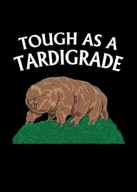 Touch As A Tardigrade