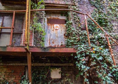 Door and vegetation