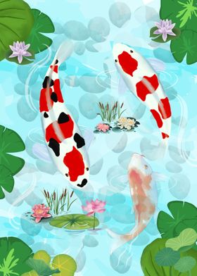 Koi Fish Pond