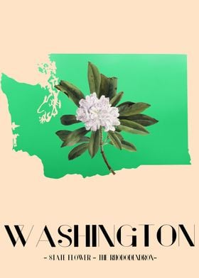 Washington Rhododendron