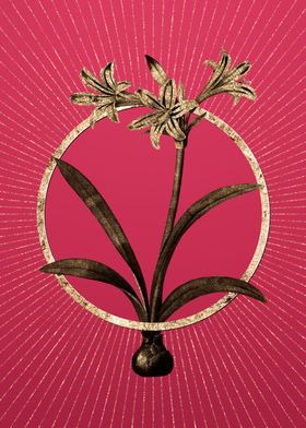 Amaryllis on Viva Magenta