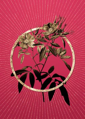 Gold Pink Swamp Roses