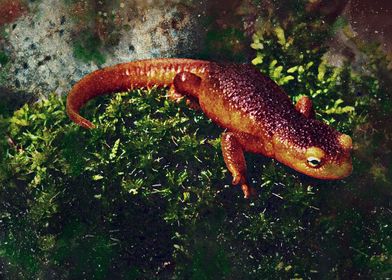 SALAMANDER