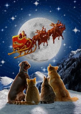 Dogs and Cats Christmas