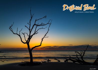 Driftwood Beach Jekyll