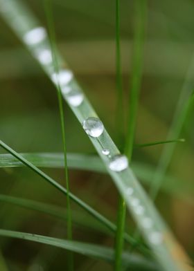 Water droplets background