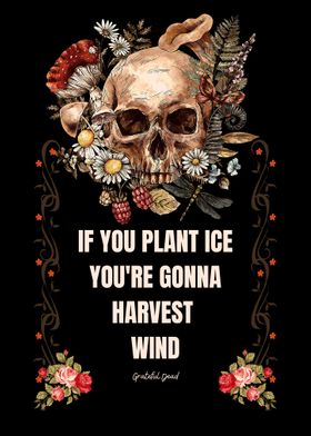 If you plant ice