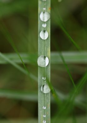 Rain droplets background