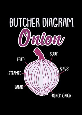 Onion Anatomy