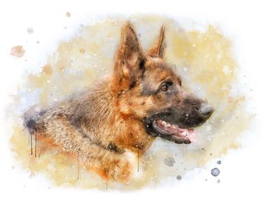 German Shepherd watercolor