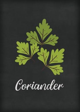 Coriander Art