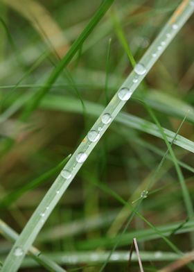 Water droplets background