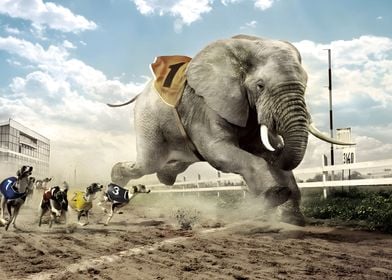 Elephant Run