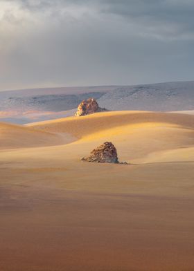 Dalis desert