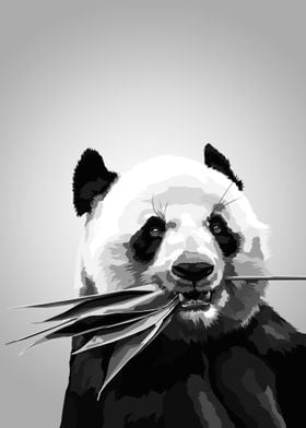 Panda Black and white