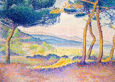 Pines Along the Shore 1896