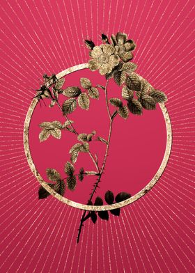 Gold Pink Sweetbriar Roses