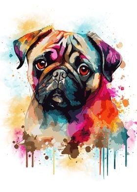 Colorful Pug Dog Portrait