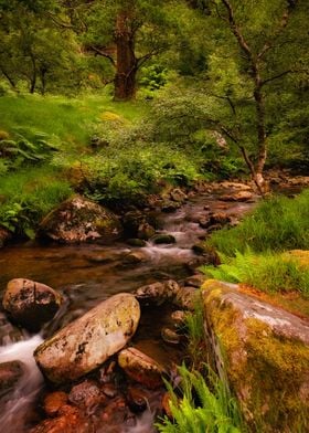 Scenic mountain creek