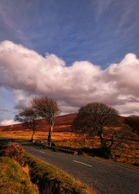 Scenic road in Wicklow