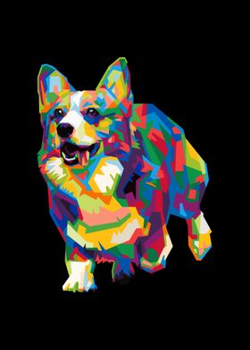 Colorful welsh corgi dog