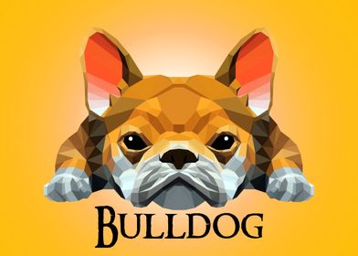 Bulldog