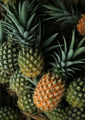 pineapple 