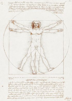 Vitruvian Man