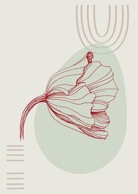 Poppies  Minimalist 