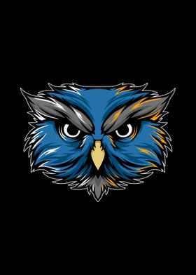 Head of blue owl