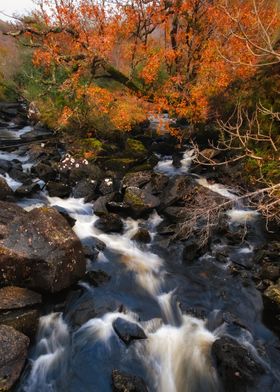 Mountain stream