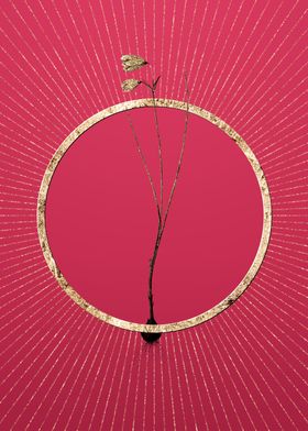 Snowbell on Viva Magenta