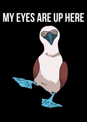 Blue Footed Boobie Bird