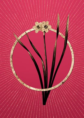 Gold Primrose Peerless