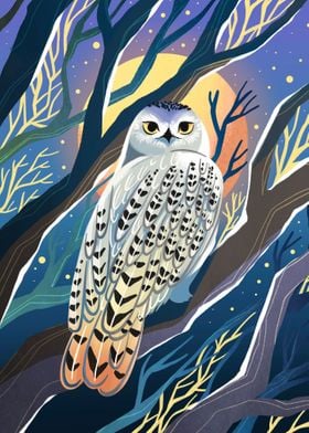 Night white owl